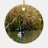 Mallard Drake Ornament (Voorkant)