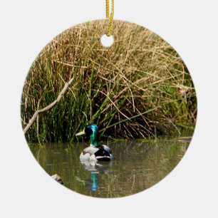 Mallard Drake Ornament