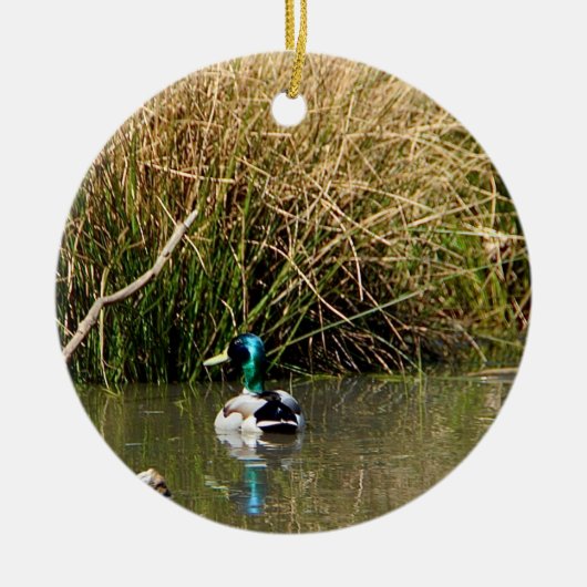 Mallard Drake Ornament (Voorkant)