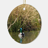Mallard Drake Ornament (Links)