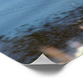 Mallard Drake Poster (Hoek)