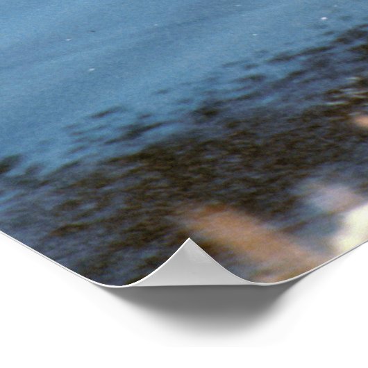 Mallard Drake Poster (Hoek)