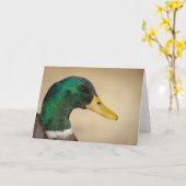 Mallard Drake Wenskaart Kaart (Gele Bloem)