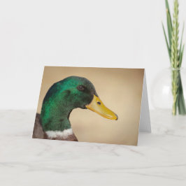 Mallard Drake Wenskaart Kaart