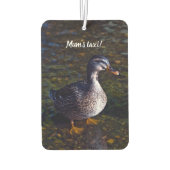 Mallard Duck Air Freshener Luchtverfrisser (Achterkant)