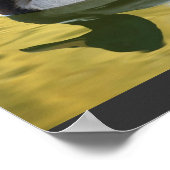 Mallard Duck Art Print Poster (Hoek)