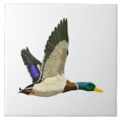 Mallard Duck Artful Tegeltje (Voorkant)