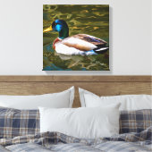Mallard Duck Artistic Portret Canvas Afdruk (Insitu (Slaapkamer))