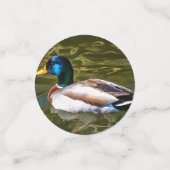 Mallard Duck Artistic Portret Confetti (Kleine voorkant)
