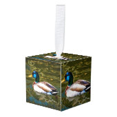 Mallard Duck Artistic Portret Decoratie (Voorkant hoekig)