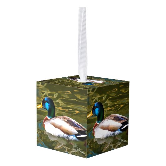 Mallard Duck Artistic Portret Decoratie (Achter hoekig)