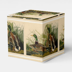 Mallard Duck Audubon Bird Painting Bedankdoosjes
