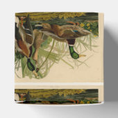 Mallard Duck Audubon Bird Painting Bedankdoosjes (Bovenkant)