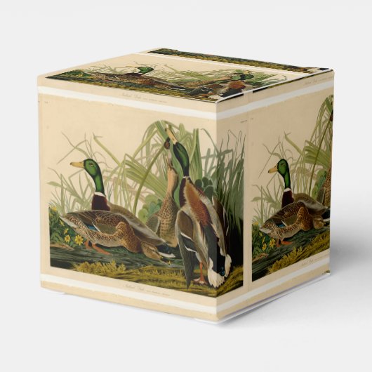 Mallard Duck Audubon Bird Painting Bedankdoosjes (Achterkant)