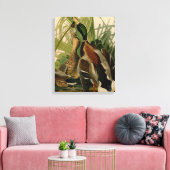 Mallard Duck Audubon Bird Painting Canvas Afdruk (Insitu (Woonkamer))