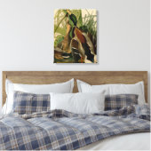 Mallard Duck Audubon Bird Painting Canvas Afdruk (Insitu (Slaapkamer))