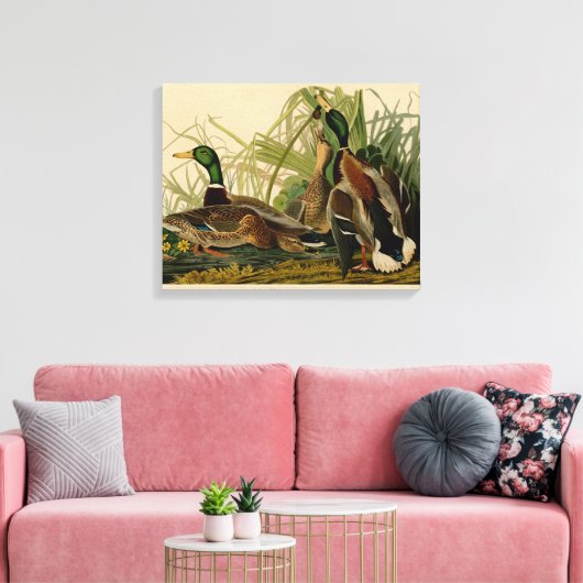 Mallard Duck Audubon Bird Painting Canvas Afdruk (Insitu (Woonkamer))