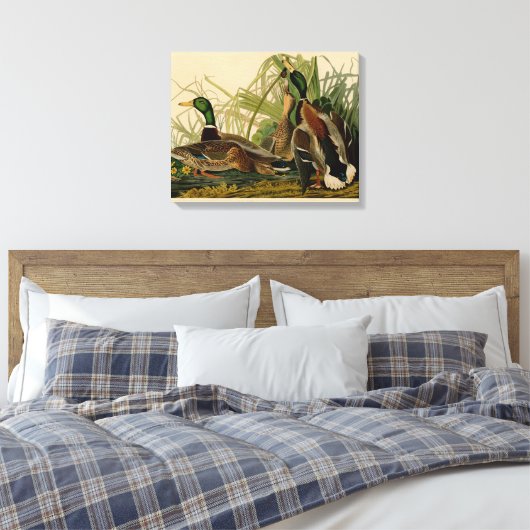 Mallard Duck Audubon Bird Painting Canvas Afdruk (Insitu (Slaapkamer))