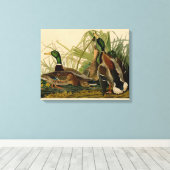 Mallard Duck Audubon Bird Painting Canvas Afdruk (Insitu (Houten vloer))