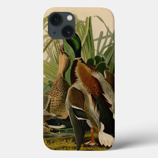 Mallard Duck Audubon Bird Painting Case-Mate iPhone Case (Achterkant)
