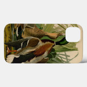 Mallard Duck Audubon Bird Painting Case-Mate iPhone Case (Achterkant (horizontaal))