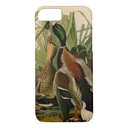 Mallard Duck Audubon Bird Painting Case-Mate iPhone Case (Achterkant)