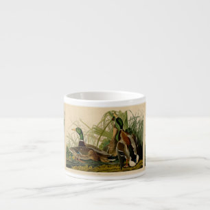 Mallard Duck Audubon Bird Painting Espresso Kop