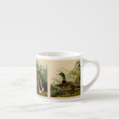 Mallard Duck Audubon Bird Painting Espresso Kop (Rechts)