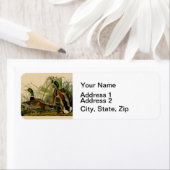 Mallard Duck Audubon Bird Painting Etiket (Insitu)