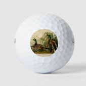 Mallard Duck Audubon Bird Painting Golfballen (Voorkant)