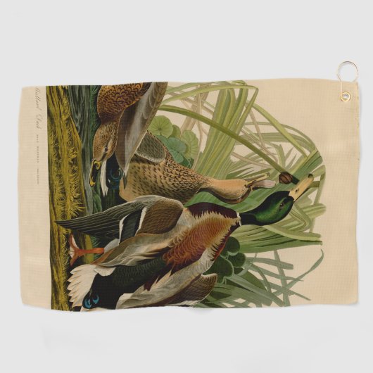 Mallard Duck Audubon Bird Painting Golfhanddoek (Horizontaal)