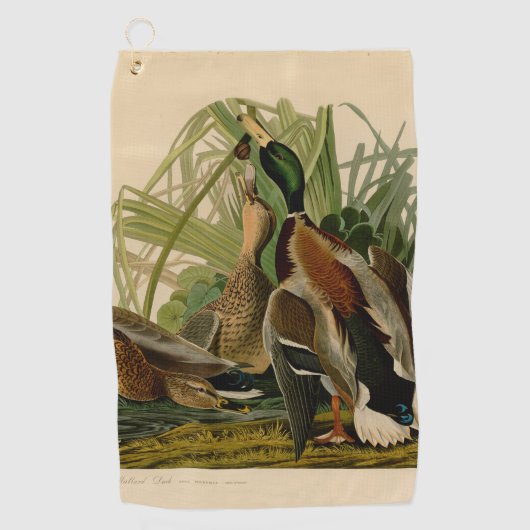 Mallard Duck Audubon Bird Painting Golfhanddoek (Voorkant)