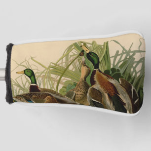 Mallard Duck Audubon Bird Painting Golfheadcover