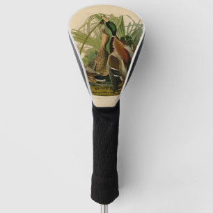 Mallard Duck Audubon Bird Painting Golfheadcover