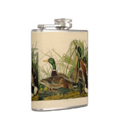 Mallard Duck Audubon Bird Painting Heupfles (Rechts)