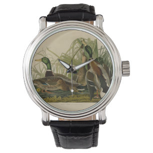 Mallard Duck Audubon Bird Painting Horloge