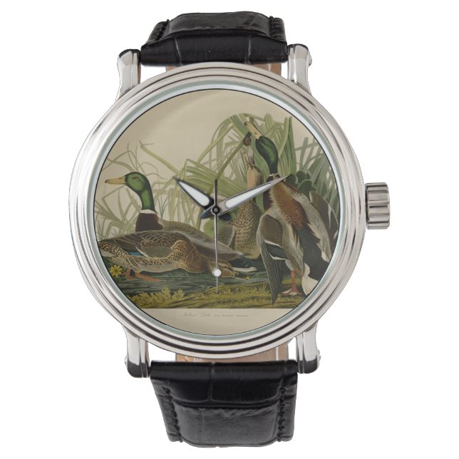 Mallard Duck Audubon Bird Painting Horloge (Voorkant)