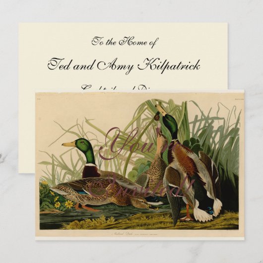 Mallard Duck Audubon Bird Painting Kaart (Voorkant / Achterkant)