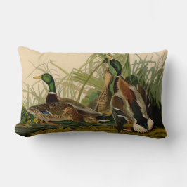 Mallard Duck Audubon Bird Painting Kussen