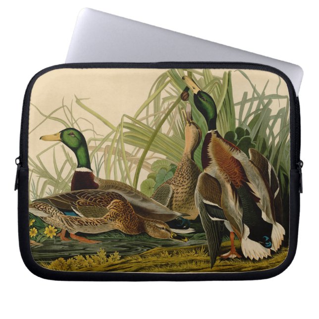 Mallard Duck Audubon Bird Painting Laptop Sleeve (Voorkant)