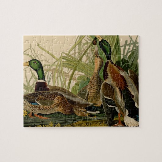 Mallard Duck Audubon Bird Painting Legpuzzel (Horizontaal)