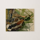 Mallard Duck Audubon Bird Painting Legpuzzel (Horizontaal)