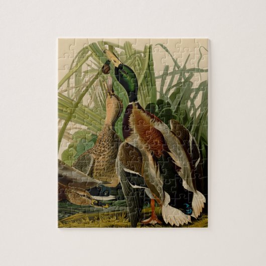 Mallard Duck Audubon Bird Painting Legpuzzel (Verticaal)