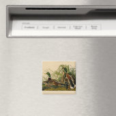 Mallard Duck Audubon Bird Painting Magneet (Insitu (Vaatwasser))