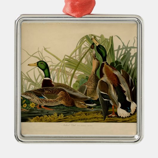 Mallard Duck Audubon Bird Painting Metalen Ornament (Voorkant)