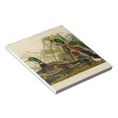 Mallard Duck Audubon Bird Painting Notitieblok (Schuin)