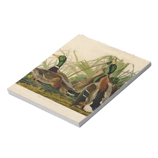 Mallard Duck Audubon Bird Painting Notitieblok (Linkerzijde)