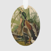 Mallard Duck Audubon Bird Painting Ornament (achterkant)