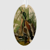 Mallard Duck Audubon Bird Painting Ornament (voorkant)