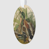 Mallard Duck Audubon Bird Painting Ornament (voorkant)